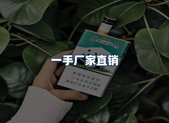 专业团队办公环境
